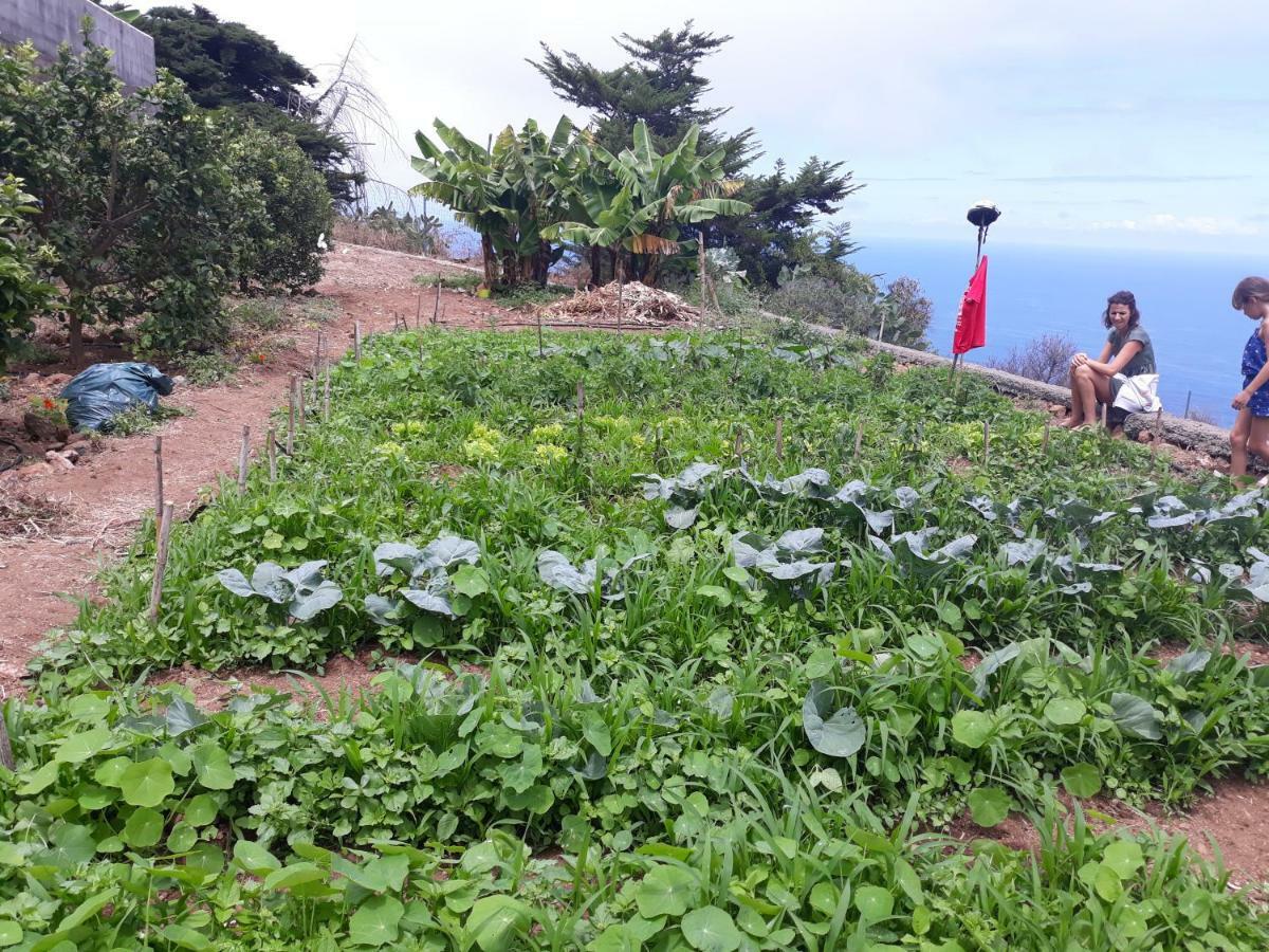 Casas En Finca Ecologica La Espiral, Naturaleza, Calma Y Vistas Al Mar, Icod el Alto Exterior photo